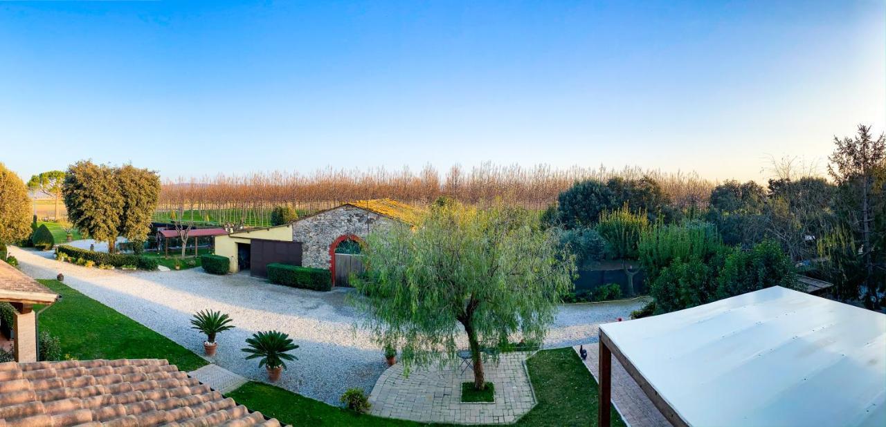 Agriturismo Il Cuscino Nel Pagliaio Campiglia Marittima Buitenkant foto
