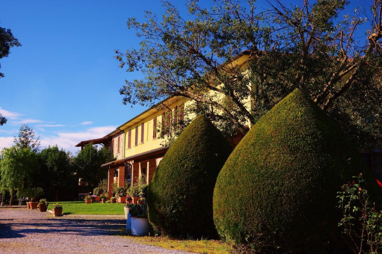Agriturismo Il Cuscino Nel Pagliaio Campiglia Marittima Buitenkant foto