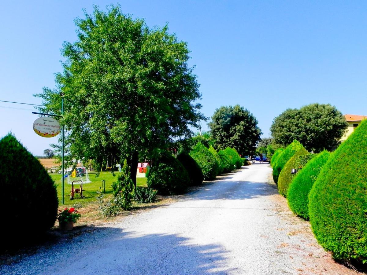 Agriturismo Il Cuscino Nel Pagliaio Campiglia Marittima Buitenkant foto