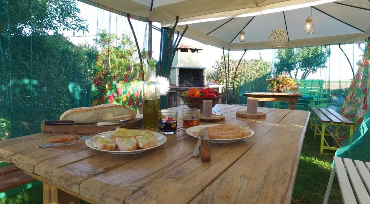 Agriturismo Il Cuscino Nel Pagliaio Campiglia Marittima Buitenkant foto